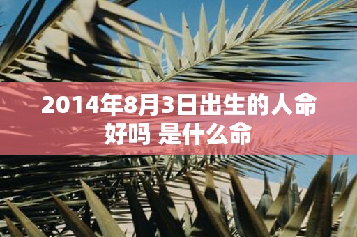 2014年8月3日出生的人命好吗 是什么命