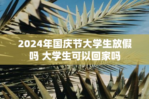 2025年国庆节大学生放假吗 大学生可以回家吗