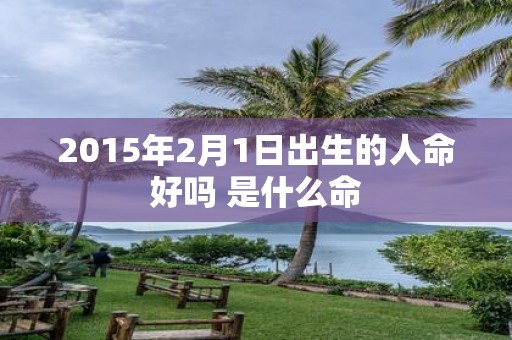 2015年2月1日出生的人命好吗 是什么命