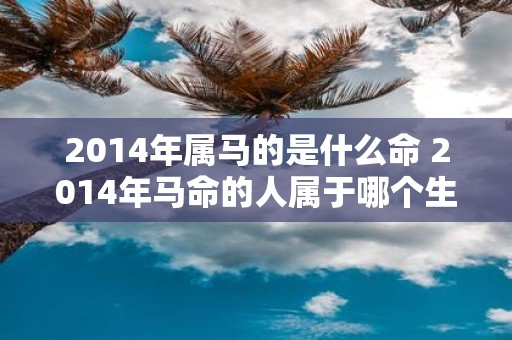 2014年属马的是什么命 2014年马命的人属于哪个生肖