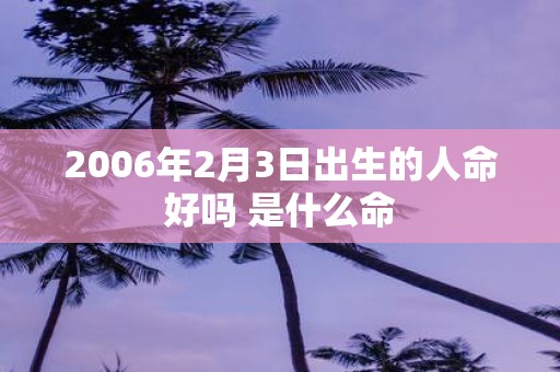 2006年2月3日出生的人命好吗 是什么命