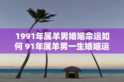 1991年属羊男婚姻命运如何 91年属羊男一生婚姻运