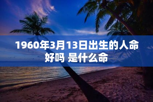 1960年3月13日出生的人命好吗 是什么命