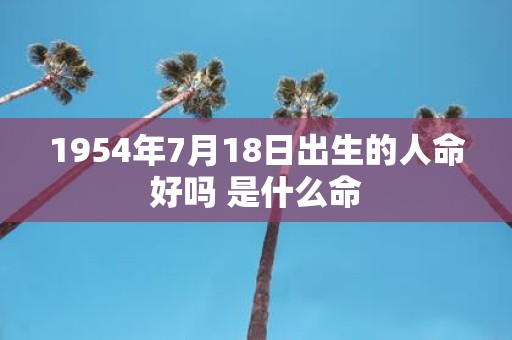 1954年7月18日出生的人命好吗 是什么命