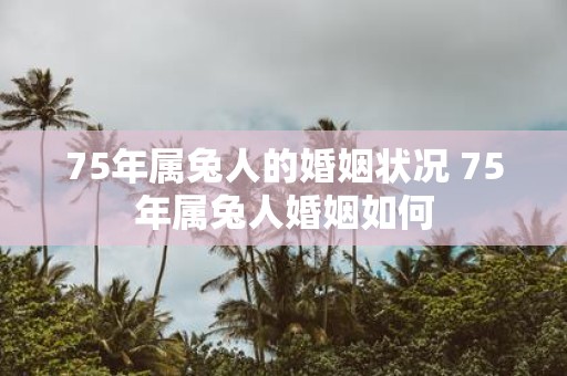 75年属兔人的婚姻状况 75年属兔人婚姻如何