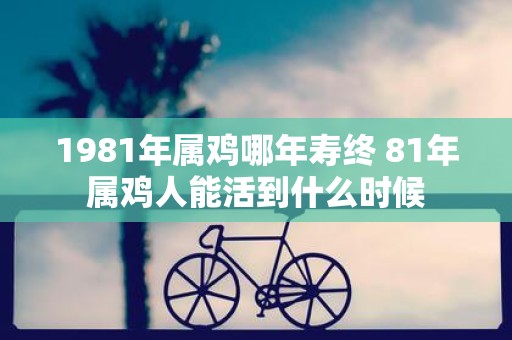 1981年属鸡哪年寿终 81年属鸡人能活到什么时候