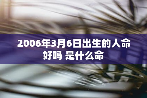 2006年3月6日出生的人命好吗 是什么命