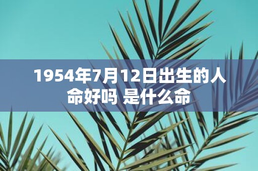 1954年7月12日出生的人命好吗 是什么命
