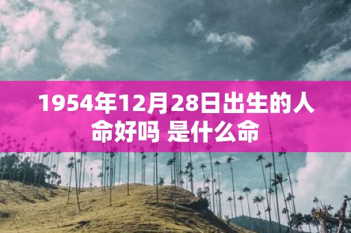 1954年12月28日出生的人命好吗 是什么命