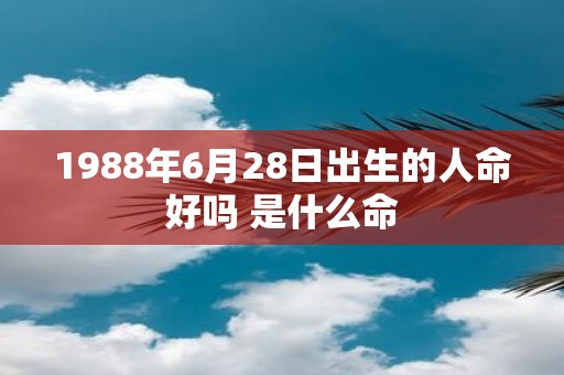1988年6月28日出生的人命好吗 是什么命