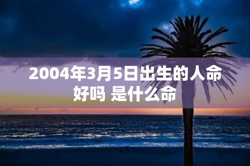 2004年3月5日出生的人命好吗 是什么命