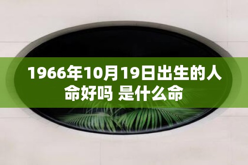 1966年10月19日出生的人命好吗 是什么命