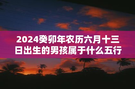 2025癸卯年农历六月十三日出生的男孩属于什么五行命运