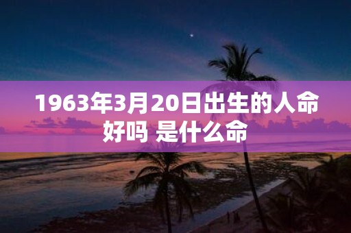 1963年3月20日出生的人命好吗 是什么命