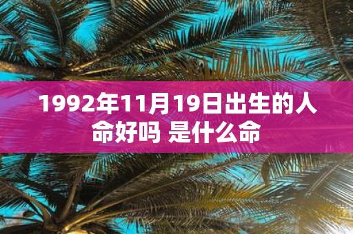 1992年11月19日出生的人命好吗 是什么命