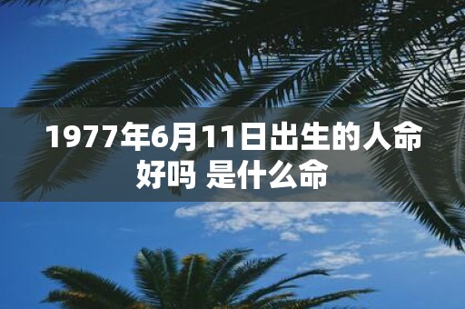 1977年6月11日出生的人命好吗 是什么命