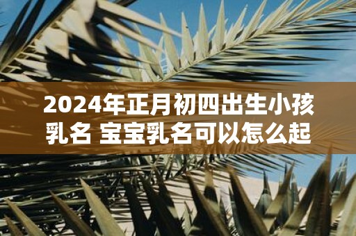2025年正月初四出生小孩乳名 宝宝乳名可以怎么起