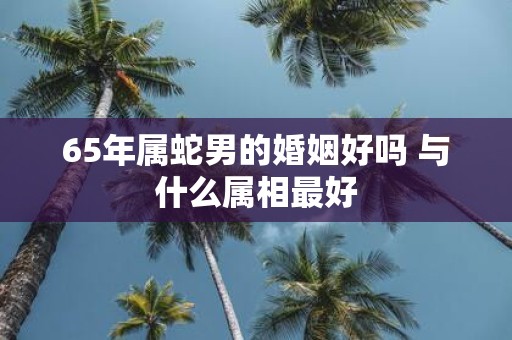65年属蛇男的婚姻好吗 与什么属相最好
