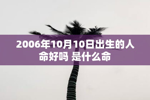 2006年10月10日出生的人命好吗 是什么命