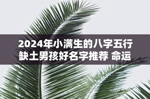 2025年小满生的八字五行缺土男孩好名字推荐 命运怎样