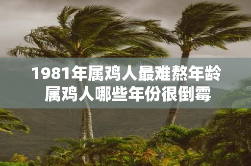 1981年属鸡人最难熬年龄 属鸡人哪些年份很倒霉