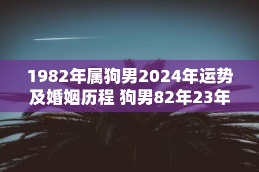 1982年属狗男2025年运势及婚姻历程 狗男82年23年婚姻运如何