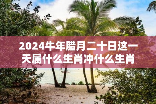 2025牛年腊月二十日这一天属什么生肖冲什么生肖