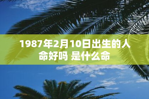 1987年2月10日出生的人命好吗 是什么命