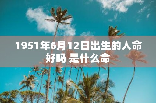 1951年6月12日出生的人命好吗 是什么命
