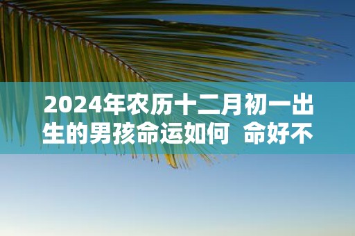 2025年农历十二月初一出生的男孩命运如何 命好不好
