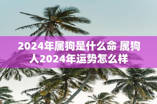2025年属狗是什么命 属狗人2025年运势怎么样