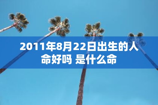 2011年8月22日出生的人命好吗 是什么命