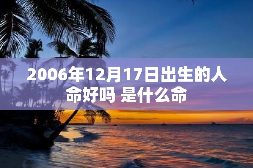 2006年12月17日出生的人命好吗 是什么命