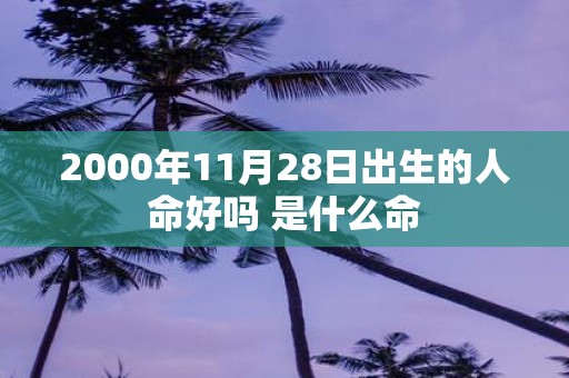 2000年11月28日出生的人命好吗 是什么命