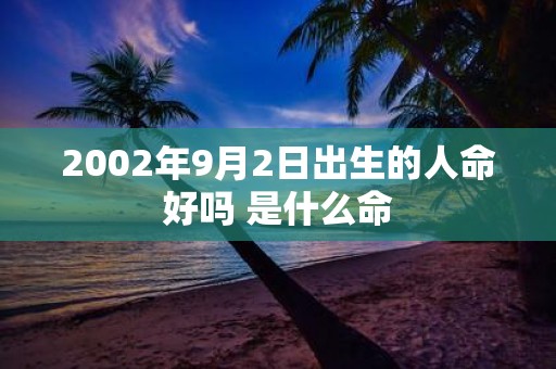 2002年9月2日出生的人命好吗 是什么命