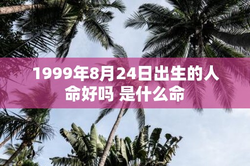 1999年8月24日出生的人命好吗 是什么命