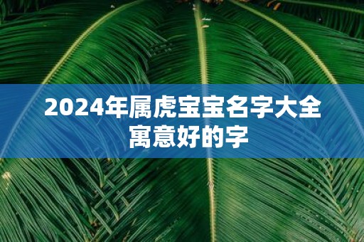 2025年属虎宝宝名字大全 寓意好的字