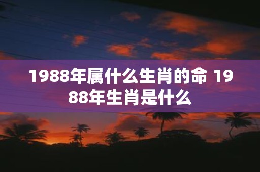 1988年属什么生肖的命 1988年生肖是什么