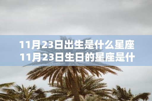 11月23日出生是什么星座 11月23日生日的星座是什么