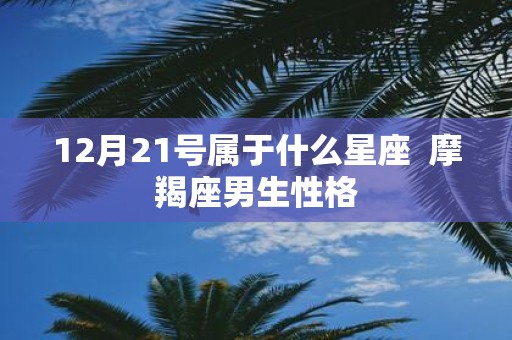 12月21号属于什么星座 摩羯座男生性格
