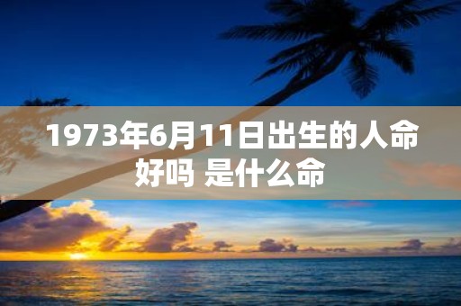 1973年6月11日出生的人命好吗 是什么命