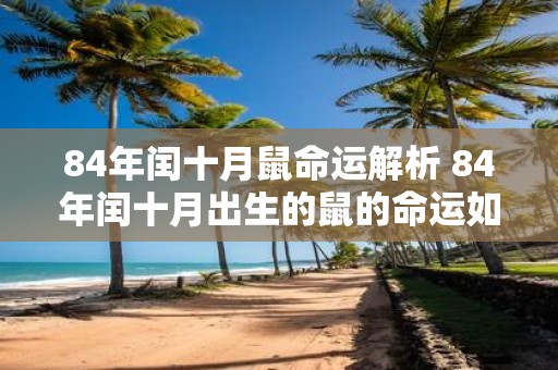 84年闰十月鼠命运解析 84年闰十月出生的鼠的命运如何