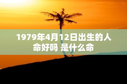 1979年4月12日出生的人命好吗 是什么命