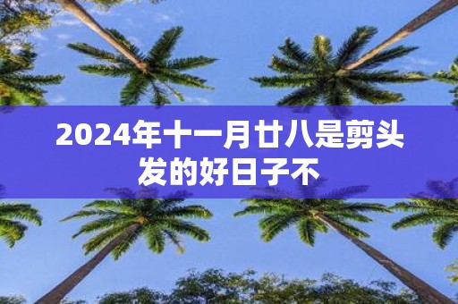 2025年十一月廿八是剪头发的好日子不