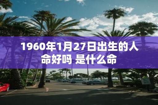 1960年1月27日出生的人命好吗 是什么命