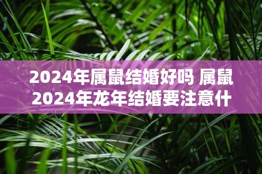 2025年属鼠结婚好吗 属鼠2025年蛇年结婚要注意什么