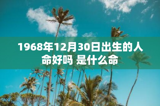1968年12月30日出生的人命好吗 是什么命