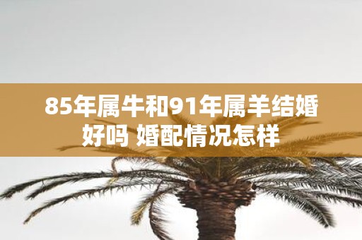 85年属牛和91年属羊结婚好吗 婚配情况怎样