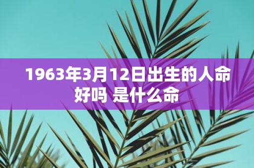 1963年3月12日出生的人命好吗 是什么命