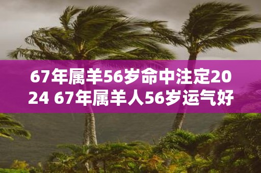 67年属羊56岁命中注定2025 67年属羊人56岁运气好吗